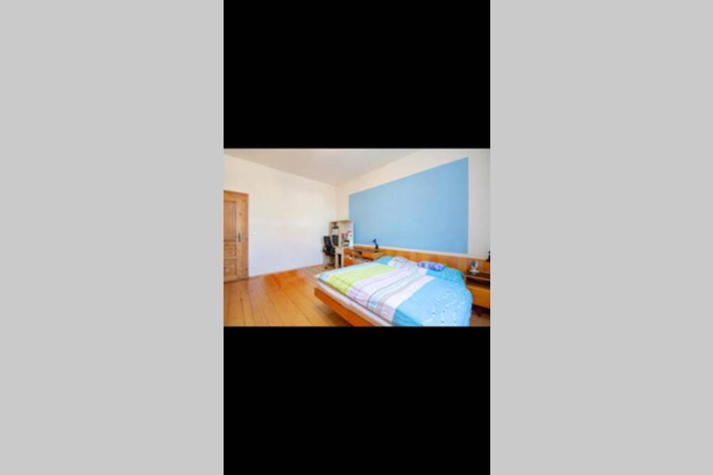 Zamecky Apartman V Horni Plane Horní Planá Exteriör bild